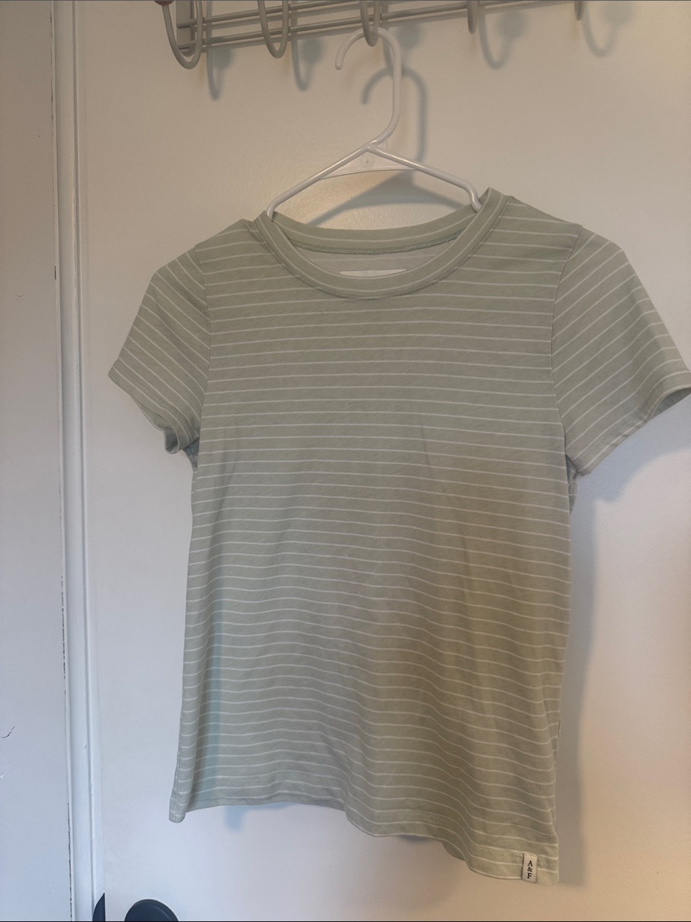 Abercrombie & Fitch Kids Striped Sage Crewneck Tee 13/14
